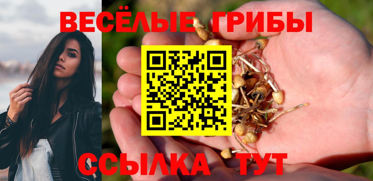 Псилоцибиновые грибы ЛСД Березники